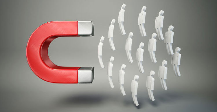 hdwiki seo����